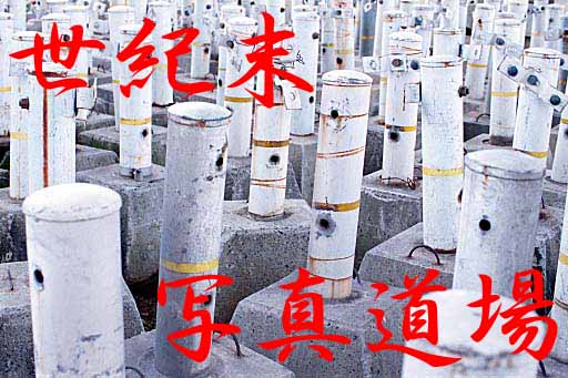 [���I���ʐ^����]