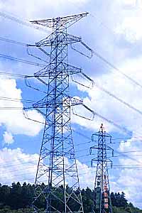 [�j���������^�S���̎ʐ^]