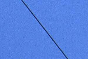 [�P���̑��d��]