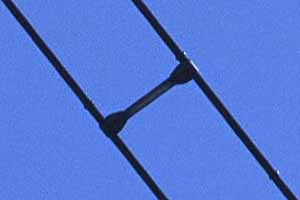 [�����̑��d��]