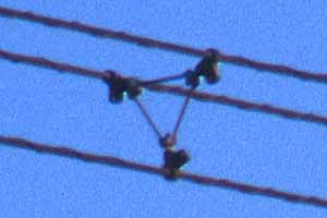 [3�{�܂Ƃ߂̑��d��]