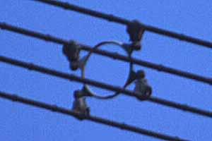 [4�{�܂Ƃ߂̑��d��]