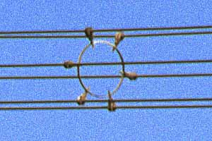 [6�{�܂Ƃ߂̑��d��]