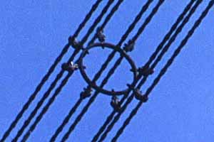 [8�{�܂Ƃ߂̑��d��]