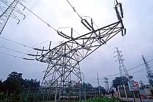 [�u�^�S��]