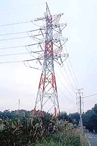 [���ނ�̒��̓S��]