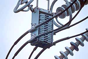 [Hisa����̐���]